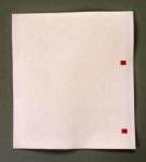 業務用レギュラーワッポン無地（白）